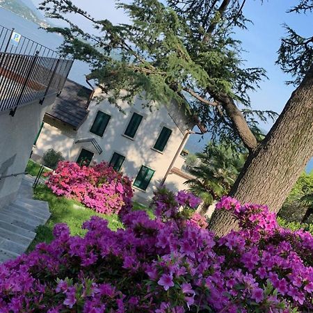 Giardini Magnolia Lägenhet Belgirate Exteriör bild