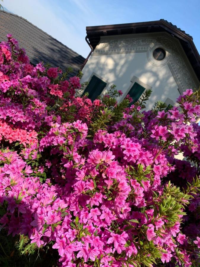 Giardini Magnolia Lägenhet Belgirate Exteriör bild