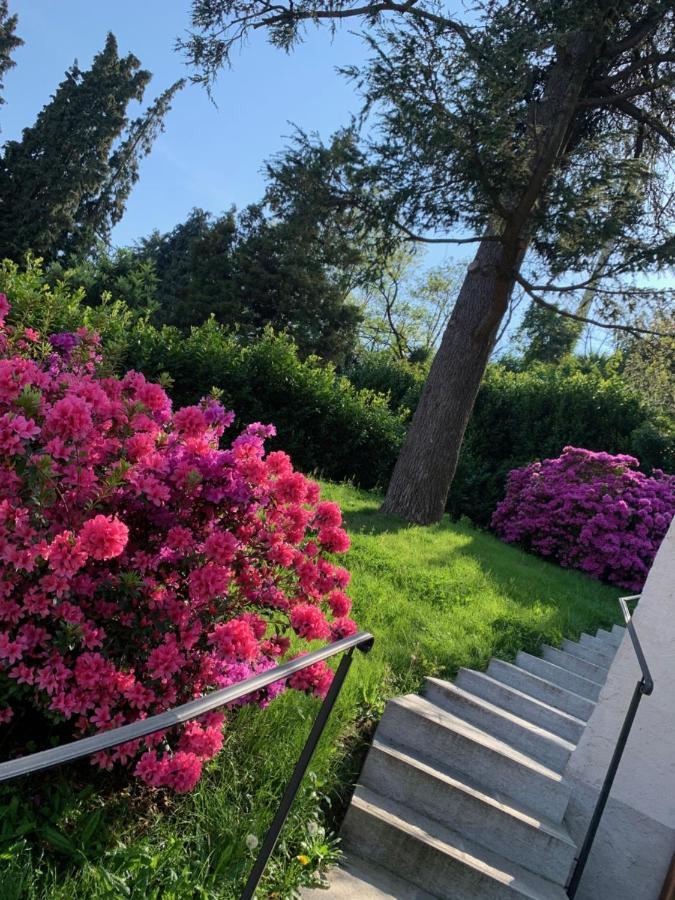 Giardini Magnolia Lägenhet Belgirate Exteriör bild
