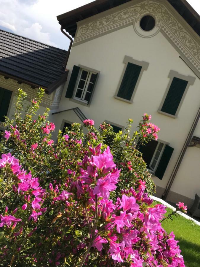 Giardini Magnolia Lägenhet Belgirate Exteriör bild